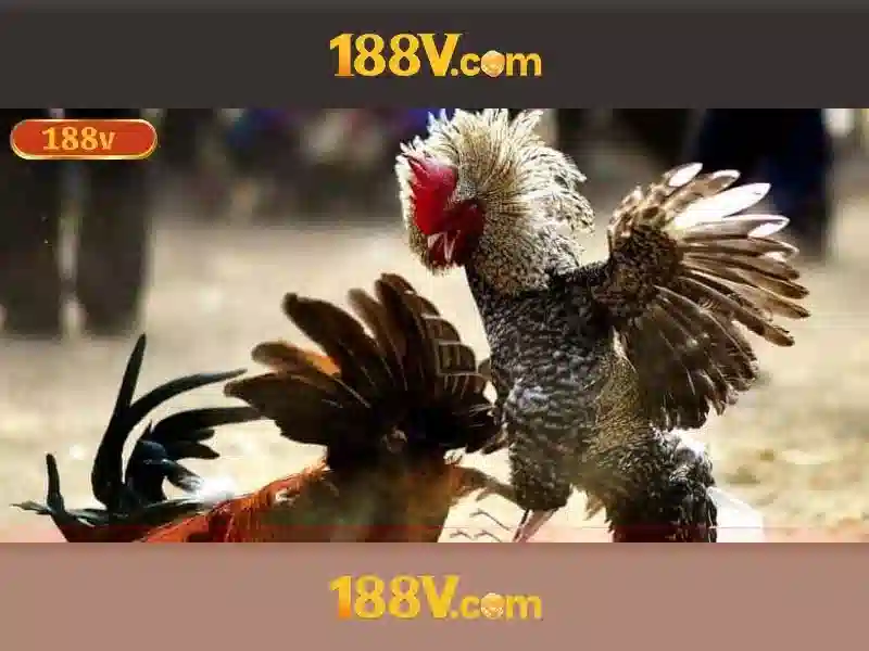 188V và hành trình của năng lượng điện áp cao