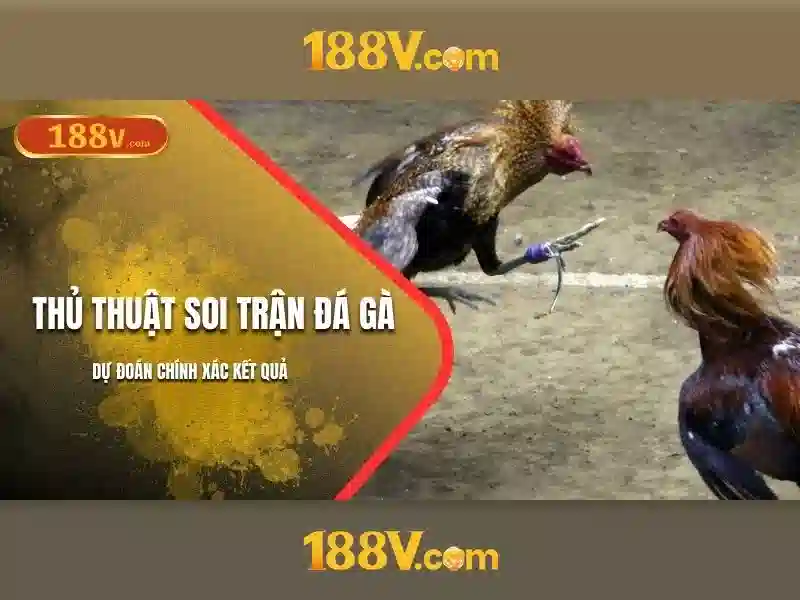 188v và nguồn gốc của con số
