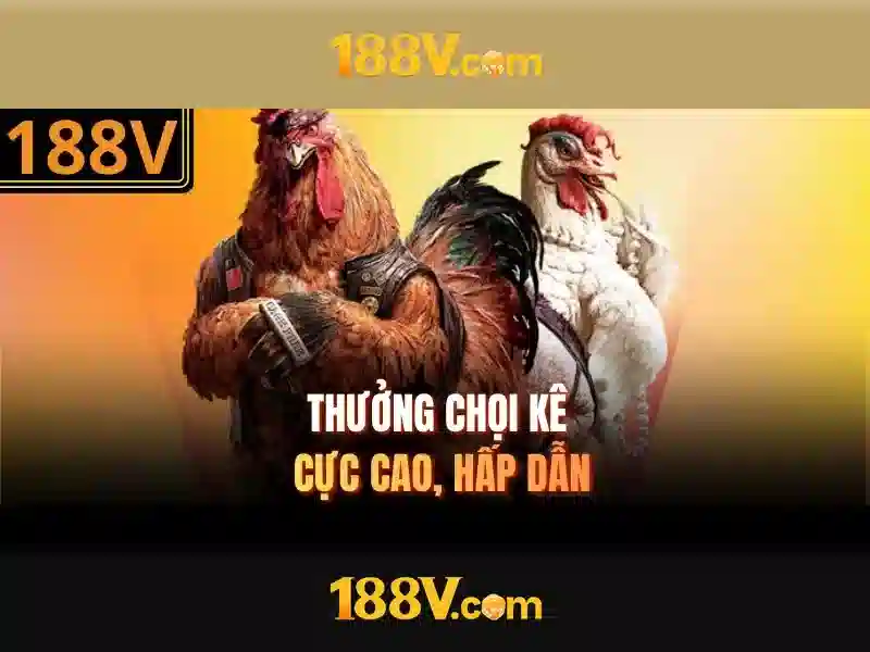 Giao diện nhà cái hoàn hảo
