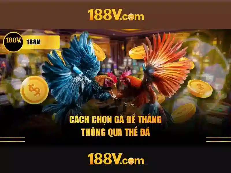HuongDanDangKy