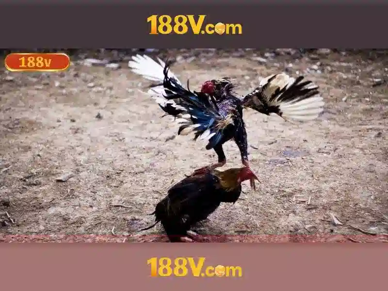 188V: Nhận diện, ý nghĩa và an toàn điện