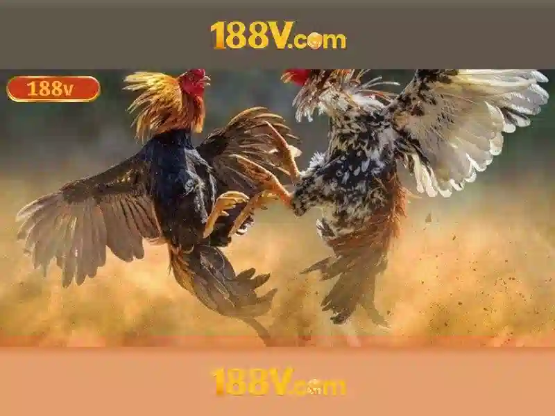 Các thách thức và biện pháp giảm thiểu rủi ro