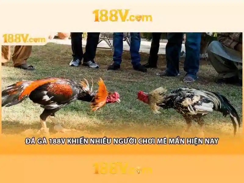 Điểm nổi bật của 188V