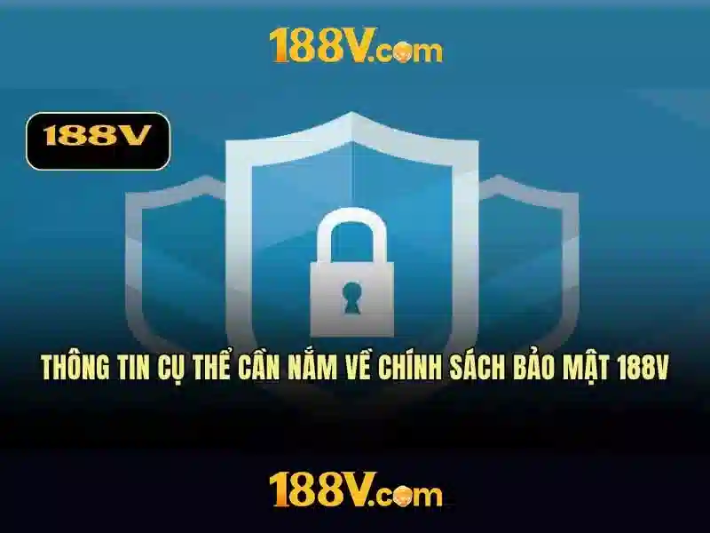 Khám phá phía dưới mặt đường