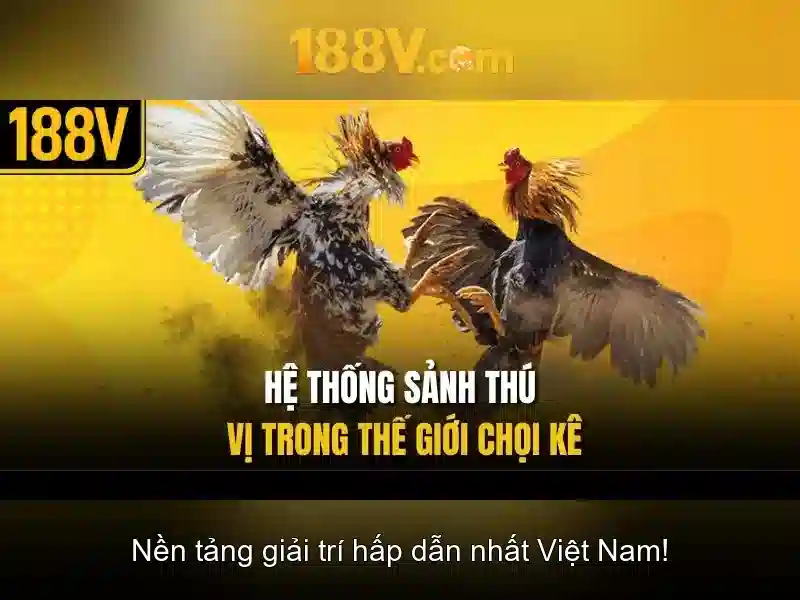 188v: một khái niệm liên ngành trong nghệ thuật và khoa học Giao diện nhà cái hoàn hảo