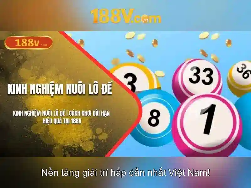 Giao diện nhà cái hoàn hảo
