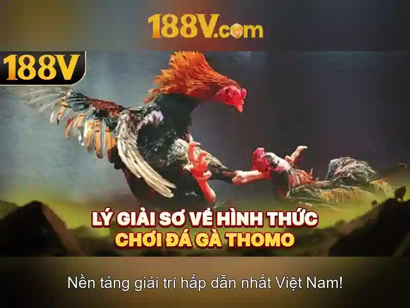 Giao diện nhà cái hoàn hảo