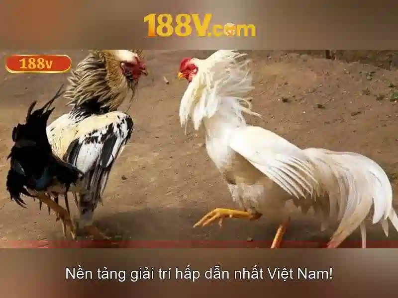 Những ứng dụng của 188v trong nghệ thuật