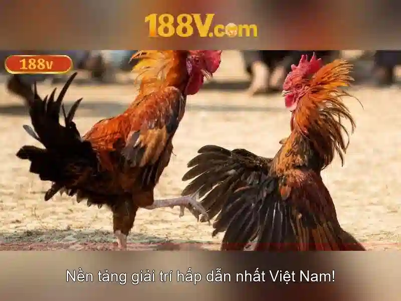 Giới thiệu về 188v