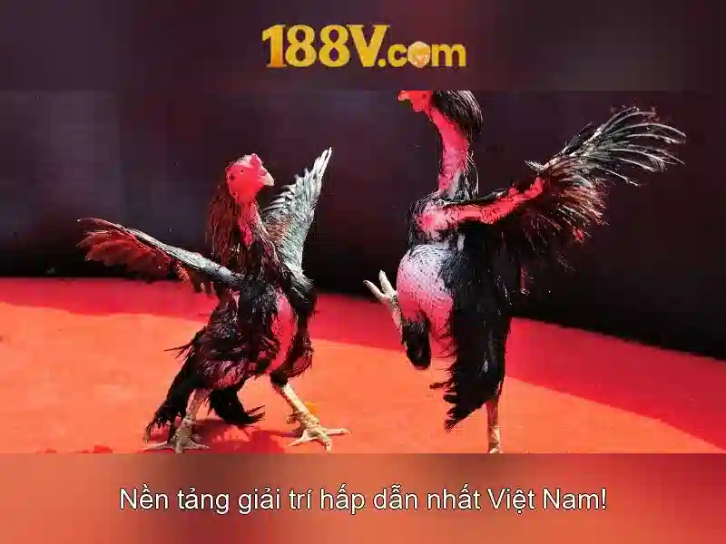 Giao diện nhà cái hoàn hảo