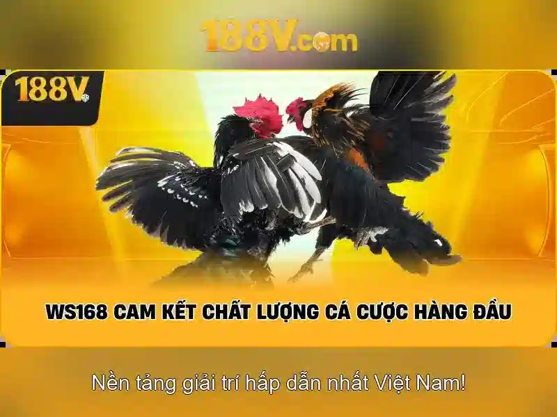 188v: Khái niệm và ảnh hưởng