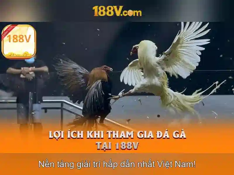 Ảnh hưởng xã hội và tương lai