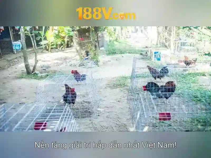 188v - mot canh cua dien ap 188 von