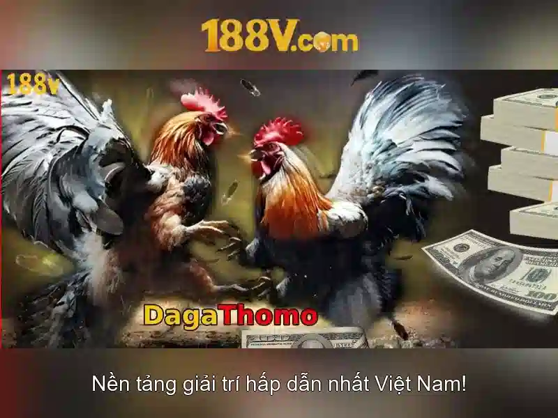 Giao diện nhà cái hoàn hảo