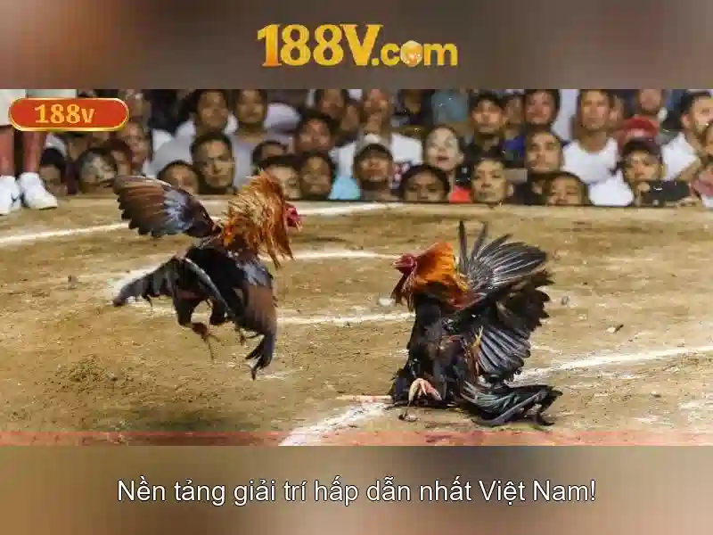 Ví dụ thực tế và nhìn nhận