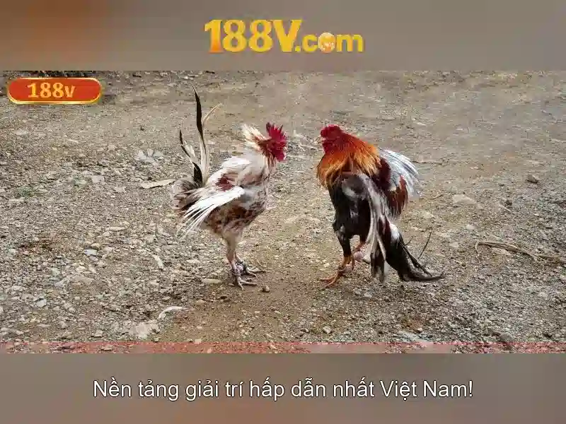 Nguồn gốc và ý nghĩa của 188v