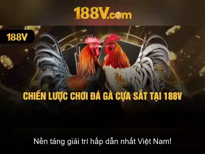 Giao diện nhà cái hoàn hảo