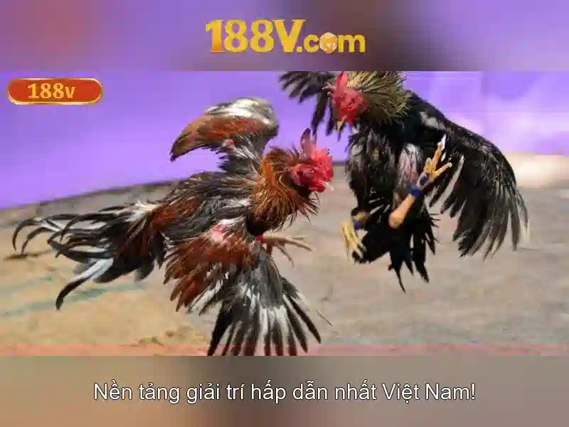 Âm thanh và thời gian