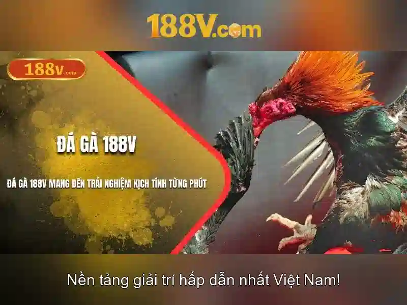 Khả năng mở rộng và tương tác