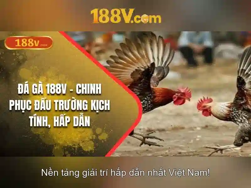 188V – Số 1 Trong Lòng Người Chơi, Đỉnh Cao Uy Tín 2025