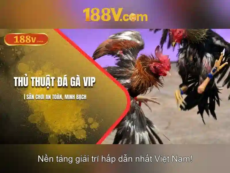 188V: Một khái niệm mới nối công nghệ và xã hội Giao diện nhà cái hoàn hảo