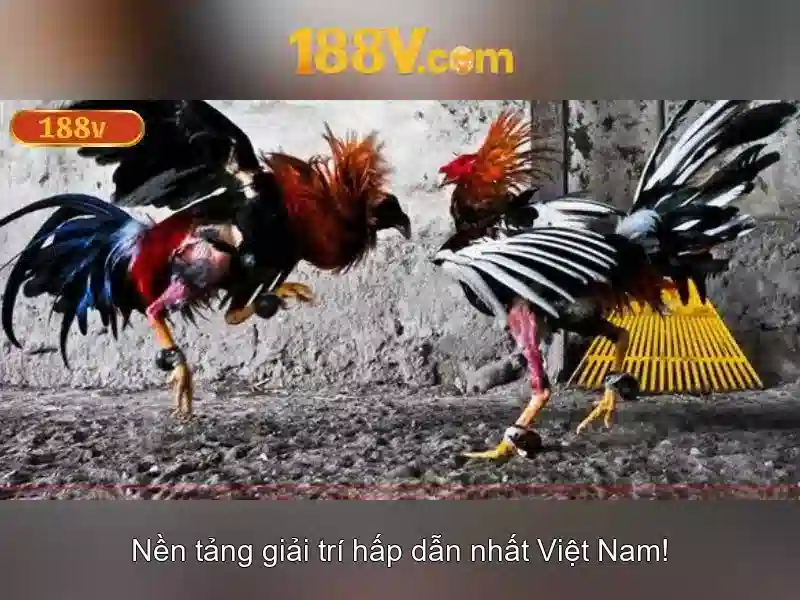 Giao diện nhà cái hoàn hảo