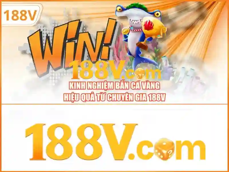 Quản trị cộng đồng và sự tham gia