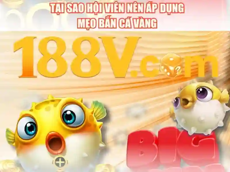 Giao diện nhà cái hoàn hảo