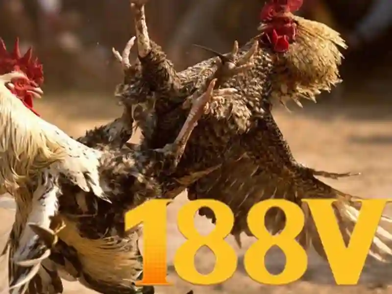 188v là gì?